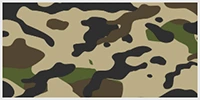 A color block of military meaning the military wall panel color of expandable container house.